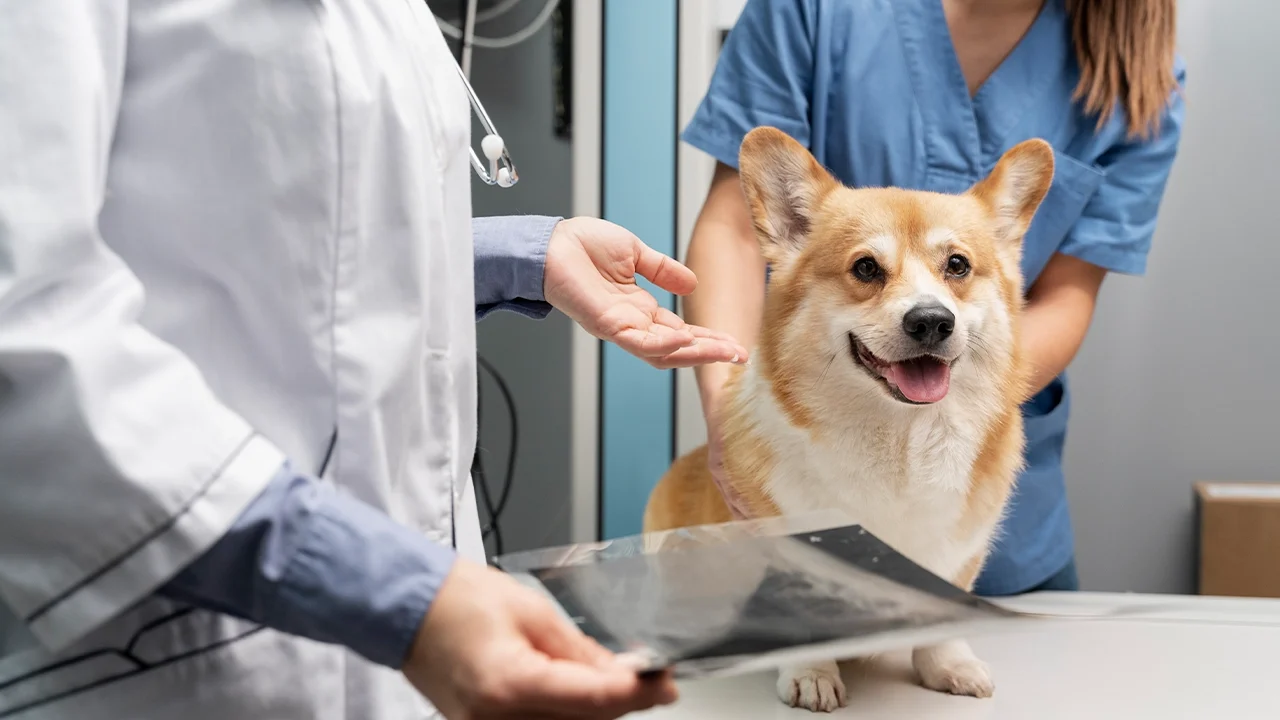 General Checkup-1